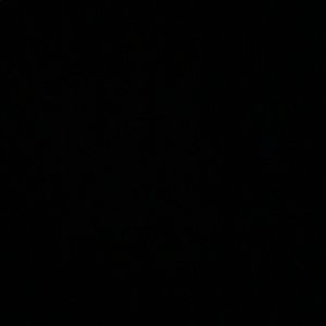 Meet your Posher, Trevor